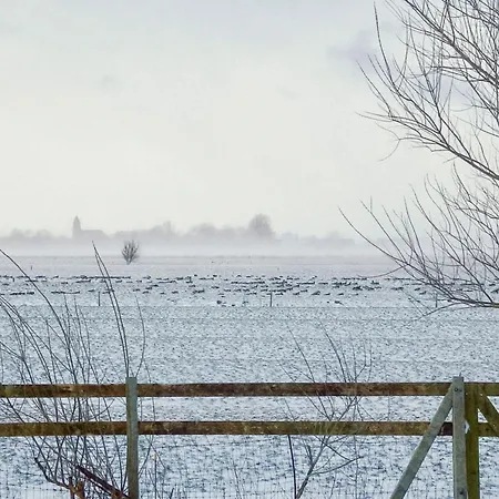 Huus South-west Dom wakacyjny *